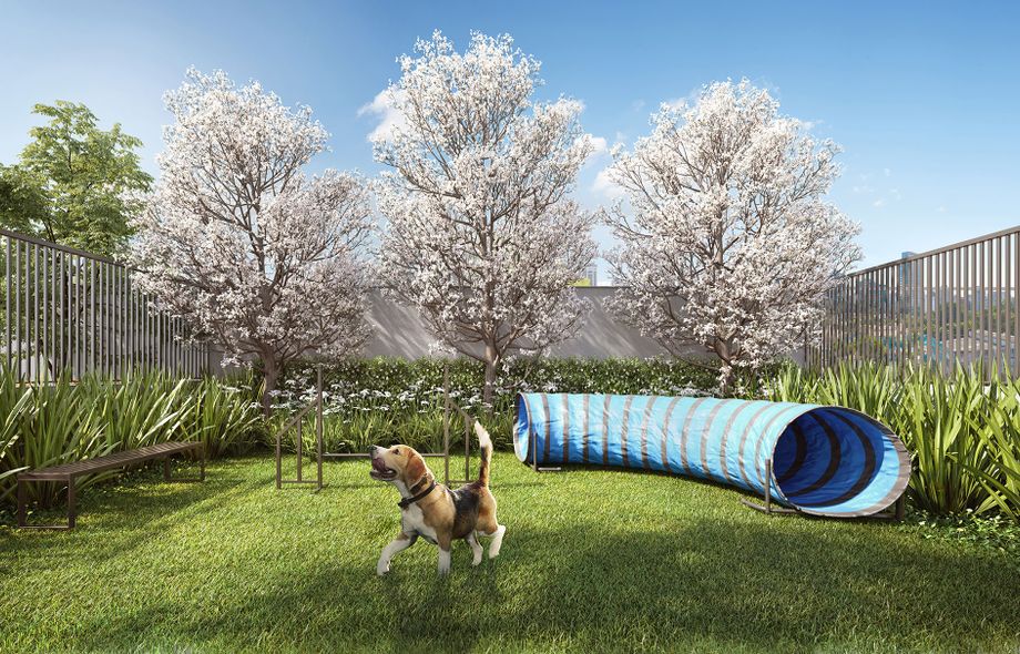 Perspectiva do Pet Place